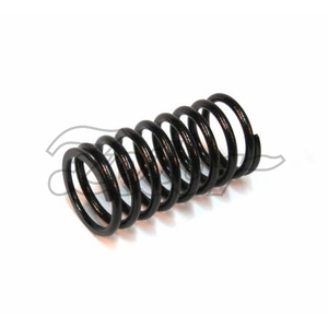 Pružina ventilu vnitřní 8V (P,F)