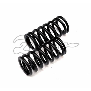 Pružina ventilu 16V (P,F)