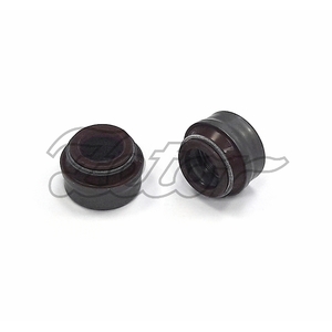 Těsnění ventilu SA