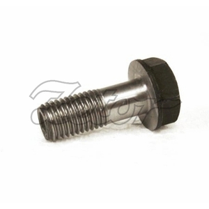 Šroub setrvačníku (P,F)