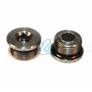 Zátka magnetická M30x2 CA (P)