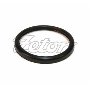 Těsnící kroužek (P)