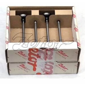 SD - Sada výfukových ventilů - 16v (P,F)